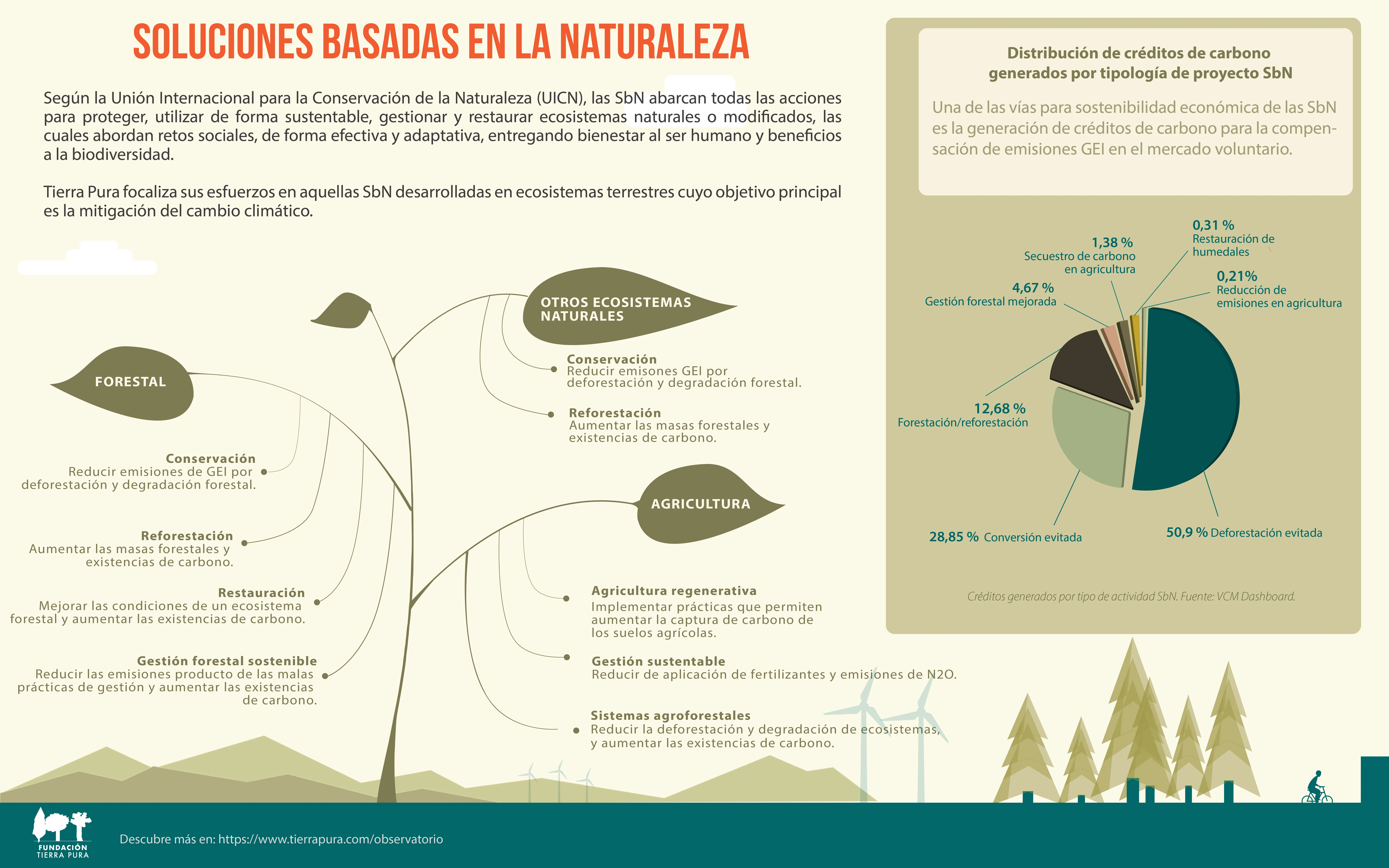 Infografia sobre mercados voluntarios de carbono en espana